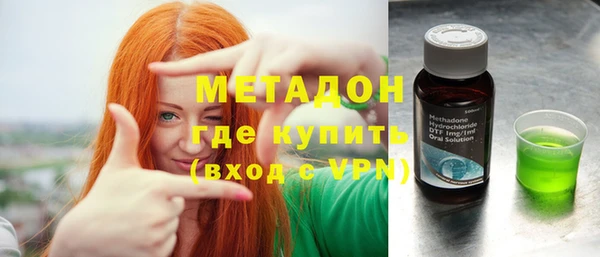 дживик Ельня