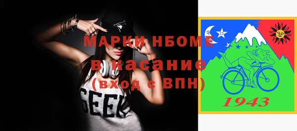 гидра Горнозаводск