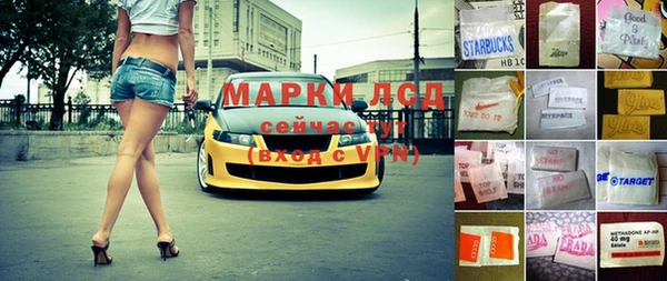гидра Горнозаводск