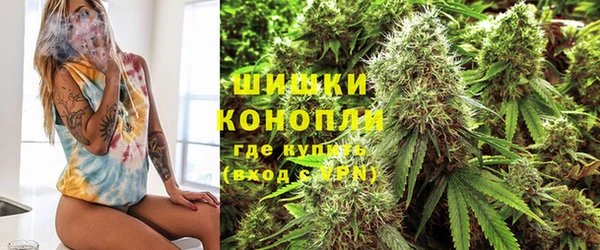 крисы Горно-Алтайск