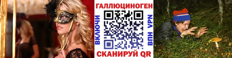 Галлюциногенные грибы Psilocybe хочу наркоту Гаджиево